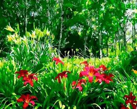 Картина по номерам «Летний день»