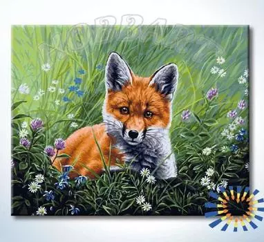 Картина по номерам «Лис на поляне»