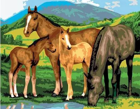 Картина по номерам «Лошади»