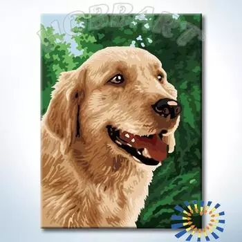 Картина по номерам «Лучший друг»