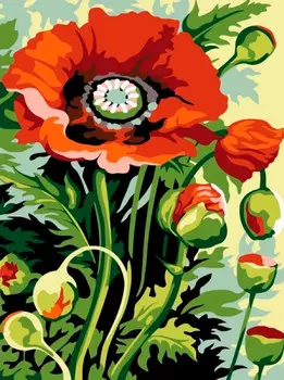 Картина по номерам «Маковый букет»