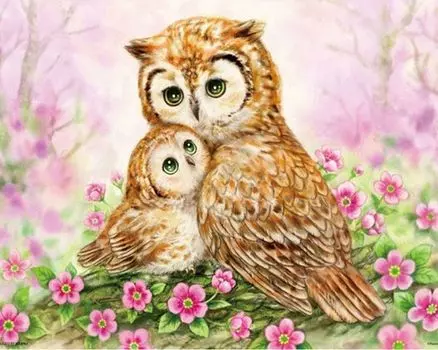 Картина по номерам «Милые совушки»