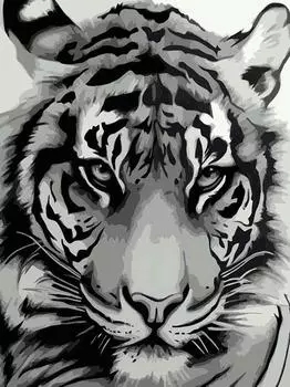 Картина по номерам «Мудрый взгляд»