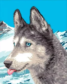 Картина по номерам «На Аляске»