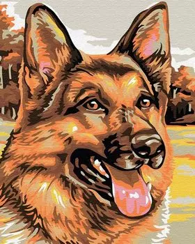 Картина по номерам «Немецкая овчарка»