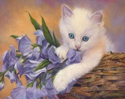 Картина по номерам «Неженка»