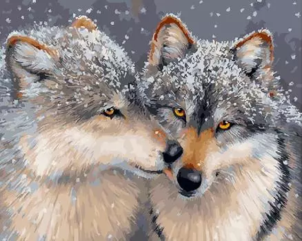 Картина по номерам «Нежное чувство»