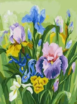 Картина по номерам «Нежные ирисы»
