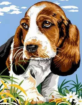 Картина по номерам «Одинокий щенок»