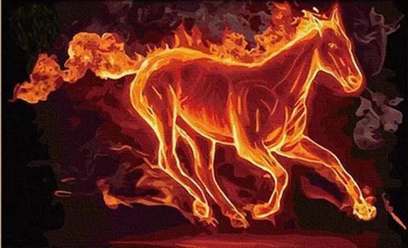 Картина по номерам «Огненный»