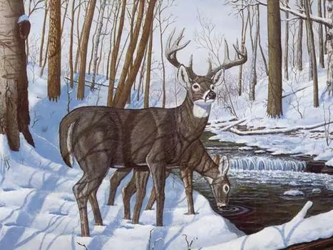 Картина по номерам «Олени»