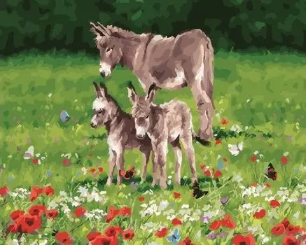 Картина по номерам «Ослы»