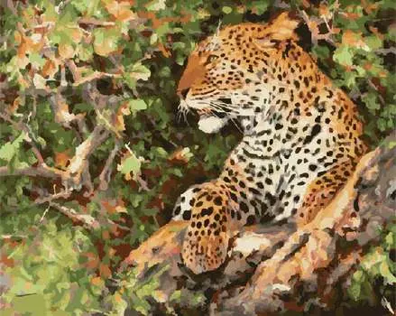 Картина по номерам «Отдых леопарда»