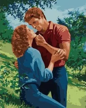 Картина по номерам «Пара»