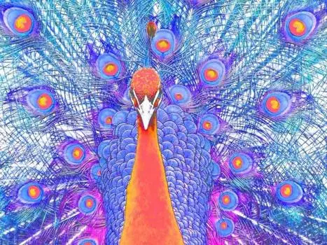 Картина по номерам «Павлин»