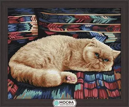 Картина по номерам «Персидский кот»
