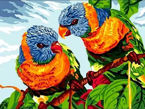 Картина по номерам «Пестрые лори»