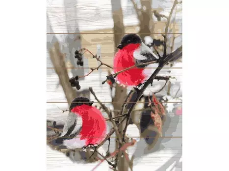 Картина по номерам по дереву Molly «Дыхание зимы»