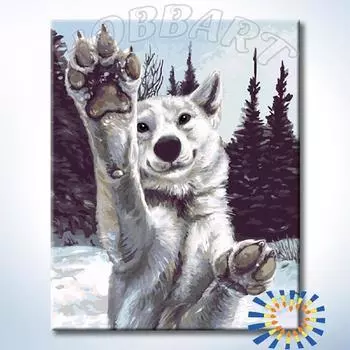 Картина по номерам «Поиграй со мной!»