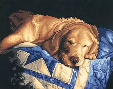 Картина по номерам «Послеобеденный сон»