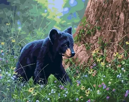 Картина по номерам «Познаем мир»