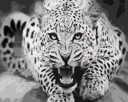 Картина по номерам «Пятнистый леопард»