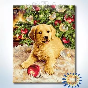 Картина по номерам «Праздник вокруг»