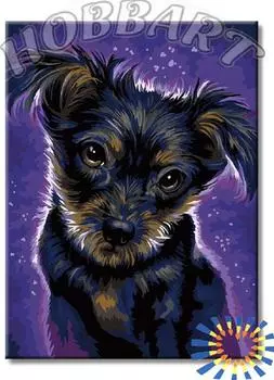 Картина по номерам «Преданный взгляд»