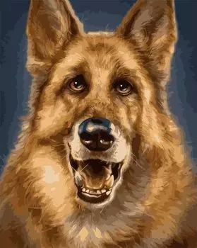 Картина по номерам «Пушистая овчарка»