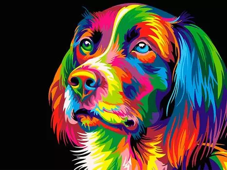 Картина по номерам «Радужный пес»