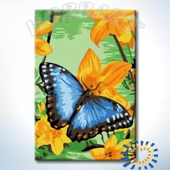 Картина по номерам «Размах синих крыльев»