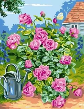 Картина по номерам «Розовый куст»