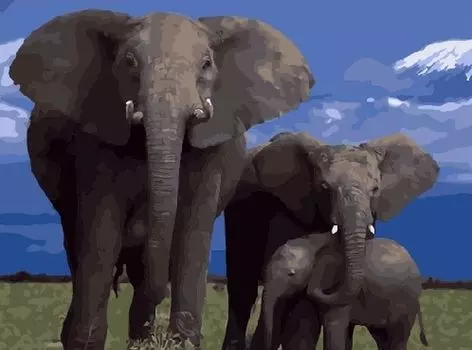 Картина по номерам «Семья слонов»