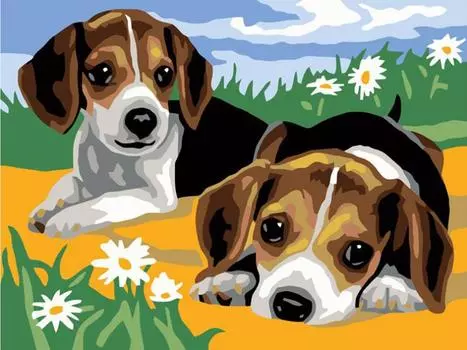 Картина по номерам «Щенки на лужайке»