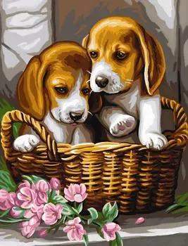 Картина по номерам «Щенки в корзине»