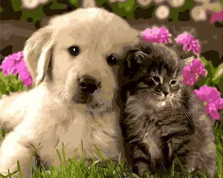 Картина по номерам «Щенок и котенок»