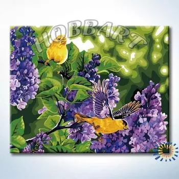 Картина по номерам «Сиреневые гости»