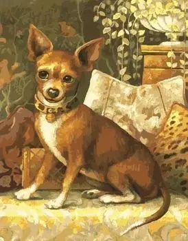 Картина по номерам «Собачка»