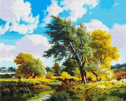 Картина по номерам «Солнечный пейзаж»