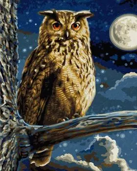 Картина по номерам «Сова»
