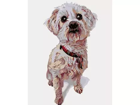 Картина по номерам «Тобиас»