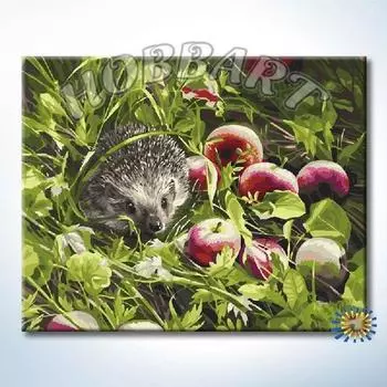 Картина по номерам «Урожай осени»