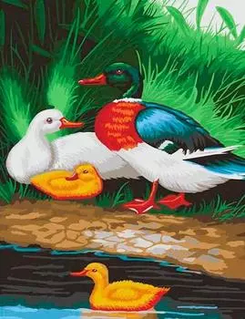 Картина по номерам «Утиная семья»