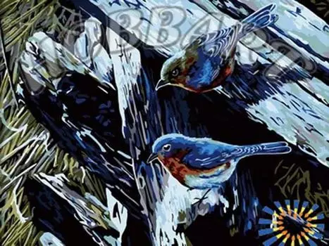 Картина по номерам «В поисках гнезда»