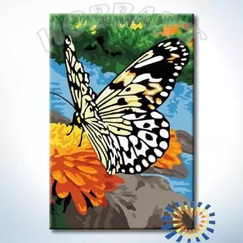 Картина по номерам «Великолепная гостья»