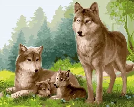 Картина по номерам «Волчье семейство»