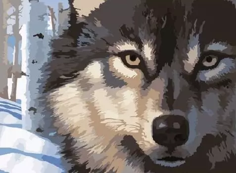 Картина по номерам «Волчий взгляд»