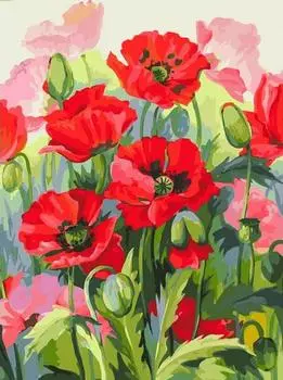 Картина по номерам «Восхитительные маки»
