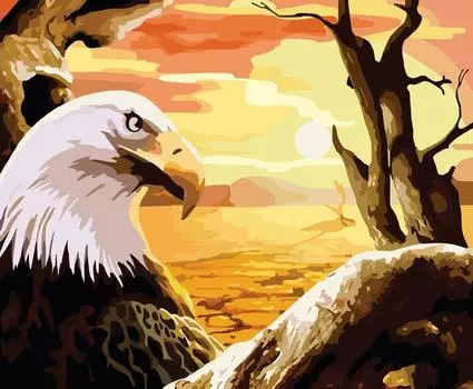 Картина по номерам «Встречая рассвет»