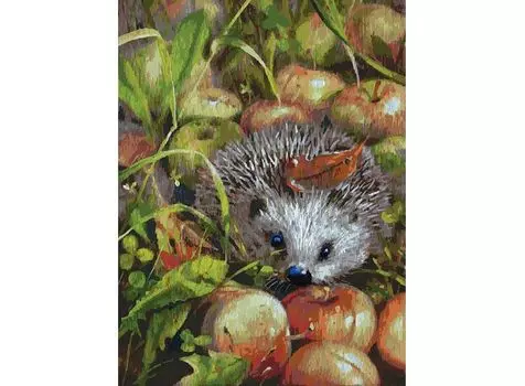 Картина по номерам «Яблочный ёжик»